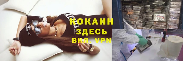 шишки Няндома