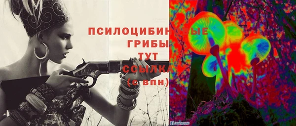 стафф Алзамай